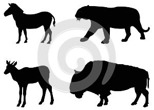 Wild animals silhouette - undomesticated animal species