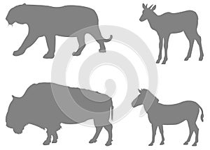 Wild animals silhouette - undomesticated animal species