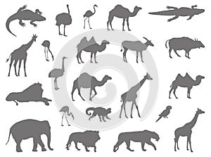 Wild animals silhouette - undomesticated animal species