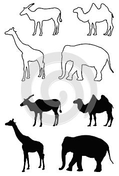 Wild animals silhouette - undomesticated animal species