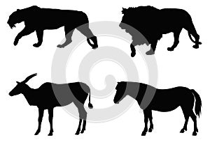 Wild animals silhouette - undomesticated animal species