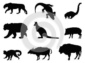 Wild animals silhouette - undomesticated animal species