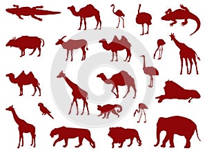 Wild animals silhouette - undomesticated animal species