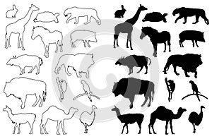 Wild animals silhouette - undomesticated animal species