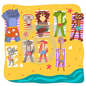 Wild animals sunbathing on the beach, cute animals cartoon characters relaxing on the seashore at summer vacation vector