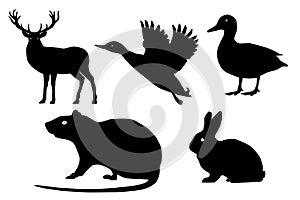 Wild animals vector set