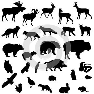 Wild animals vector set silhouettes