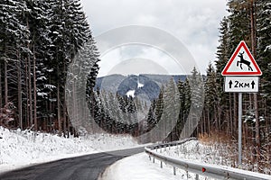 Wild animals warning traffic sign near road with snow