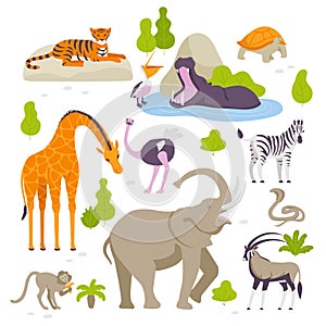 Wild animals in the zoo set of vector illustrations in flat design isolated on white background. Green bushes and trees