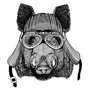 Wild aper, boar, hog, biker animal wearing motorcycle helmet. Hand drawn image for tattoo, emblem, badge, logo, patch, t