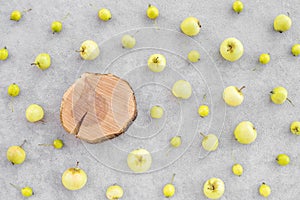 Wild apples and apple tree stump with copy space