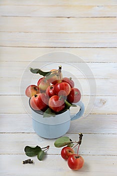 Wild apples in an enamel mug