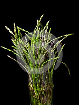 Wild asparagus