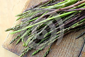 Wild asparagus
