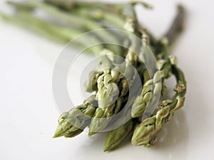 Wild asparagus