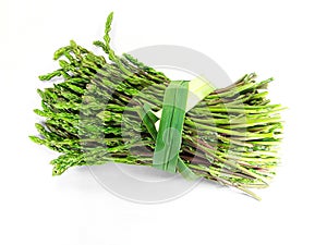 Wild Asparagus(Asparagus Acutifolius)