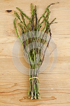 Wild Asparagus Bunch