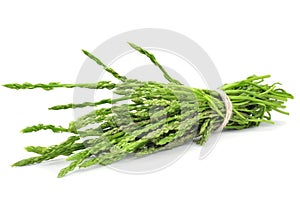 Wild asparagus