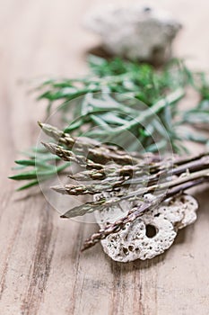 Wild asparagus and sea fennel