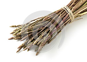 Wild asparagus spears