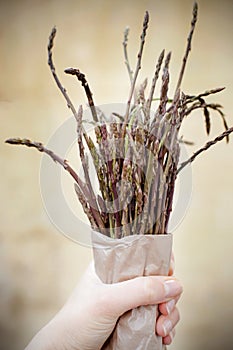 Wild asparagus spears