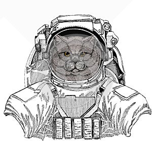 Wild astronaut animal in spacesuit. Deep space. Galaxy. British shorthair cat animal cute face. Vector happy silver
