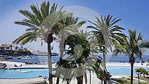 wild atlantic coast of puerto de la cruz