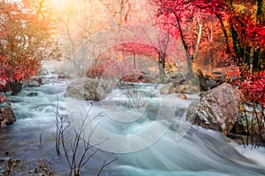 Wild Autumn with beautiful rivers and waterfalls