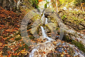 Wild autumn mountain forest with waterfall, nature colorful background