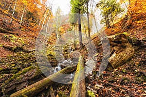 Wild autumn mountain forest with waterfall, nature colorful landscape