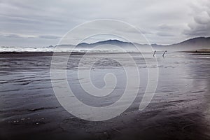 Wild beach at Chiloe island photo