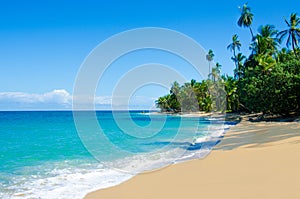 Wild beach Chiquita and Cocles in Costa Rica