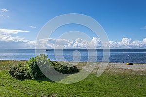 Wild beach in Landskrona 1