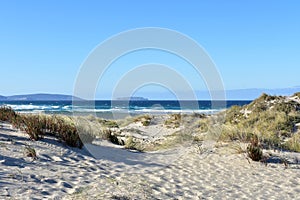 Wild beach with sand dunes and grass. Blue sea with waves and white foam, clear sky, sunny day. Galicia, Spain.