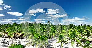 Wild beach on Saona island, Dominican Republic aerial panorama on a sunny day, caribbean tropical destination