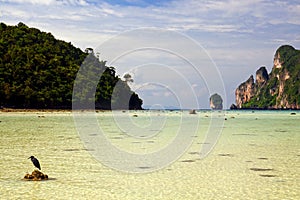 Wild beach in Thailand