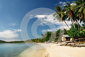 Wild beach with turquoise water on Cagsalay island