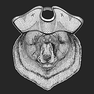 Wild bear. Pirate cocked hat. Portrait of animal for emblem, logo, tee shirt.