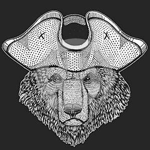 Wild bear. Pirate cocked hat. Portrait of animal for emblem, logo, tee shirt.