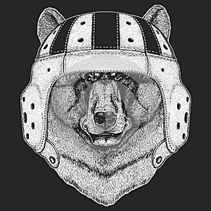 Wild bear. Rugby leather helmet. Portrait of animal for emblem, logo, tee shirt.
