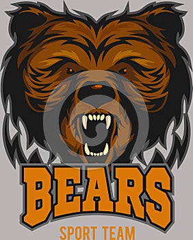 wild bears mascot Vector illustration DOWNLOAD