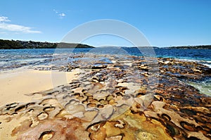 Wild beautiful beach in Sydney, Australia