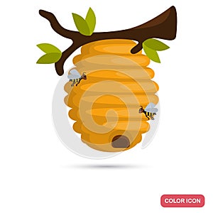 Wild bee hive hang at tree color flat icon