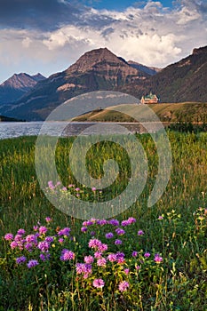 Wild Bergamot and the Prince of Wales Hotel in Waterton Lakes National Park photo