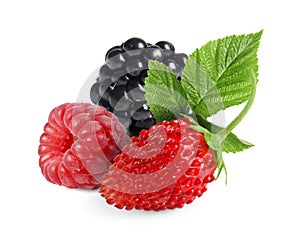 Wild berries. Blackberry, raspberry, strawberry and green leaves isolated on white