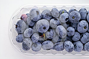 Wild berries: blueberries