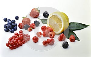 Wild berries Mix