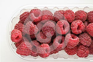 Wild berries: raspberries