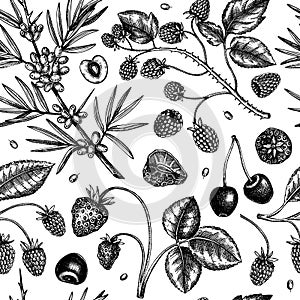 Wild berries sketches seamless pattern. Hand drawn berry vintage vector background. Summer fruit backdrop - strawberry, cranberry