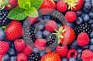 Wild berries strawberries, blueberries, blackberries, raspberries - Closeup photo